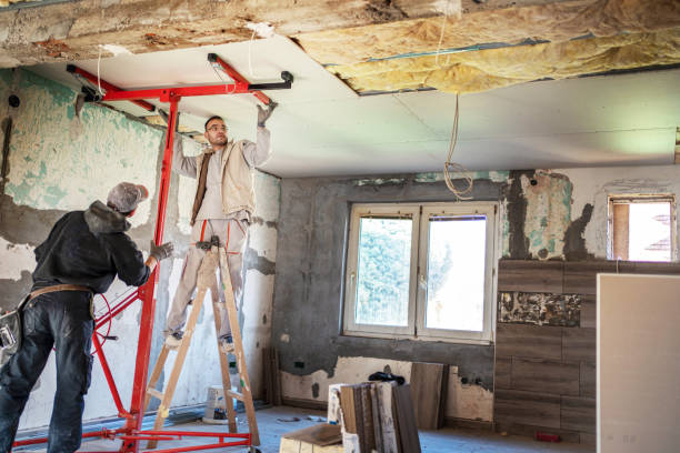 Best Attic Insulation Installation  in Birngham, MI